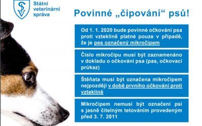 Čipování psů